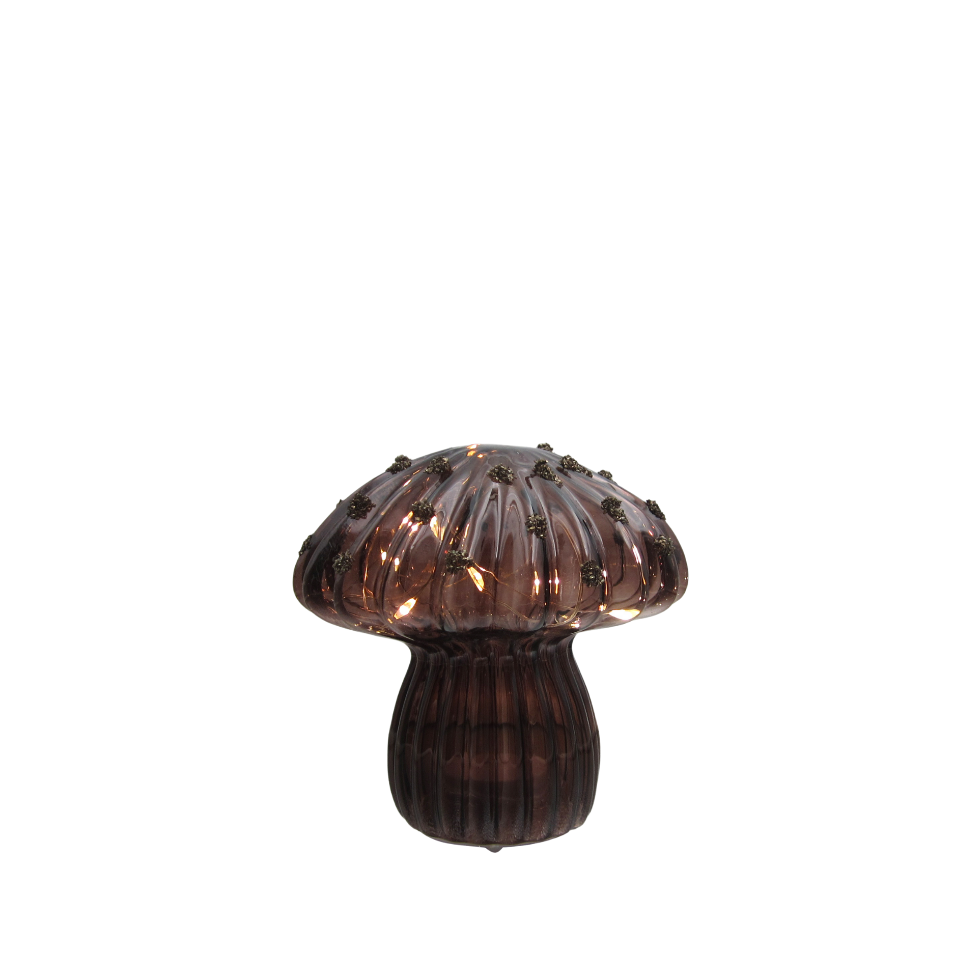 Pilz im Glas mit LED