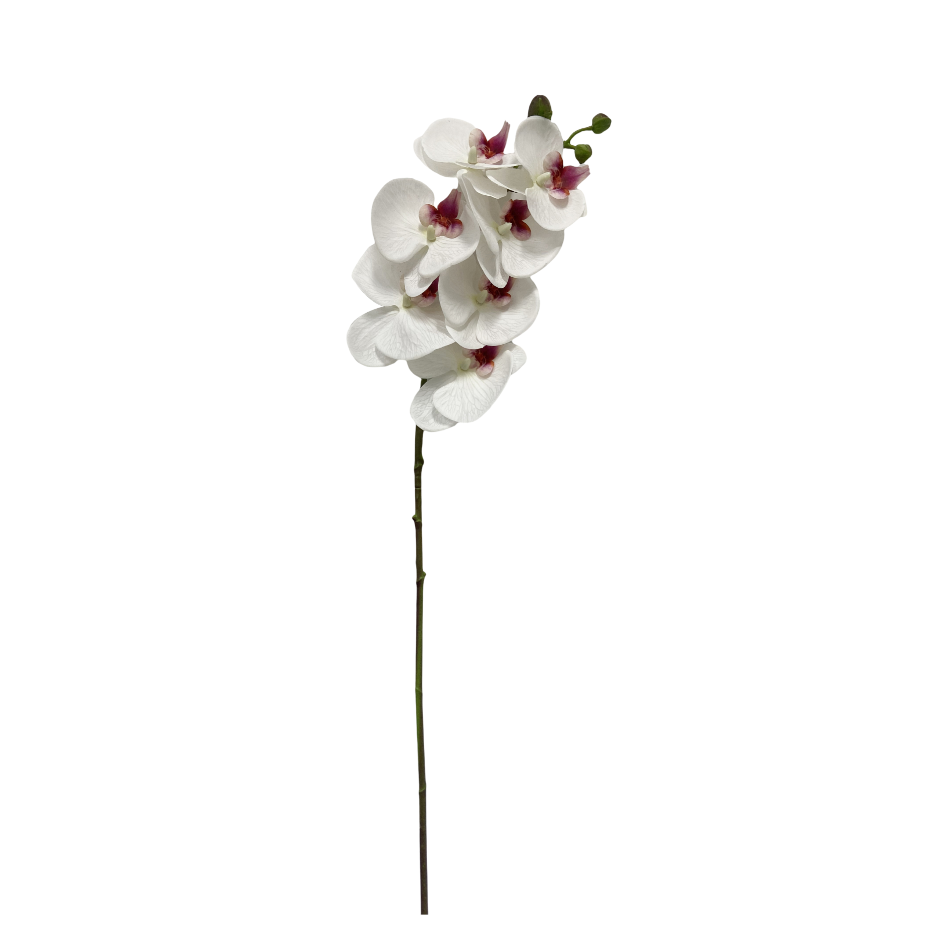 Künstliche Orchidee - Real Touch