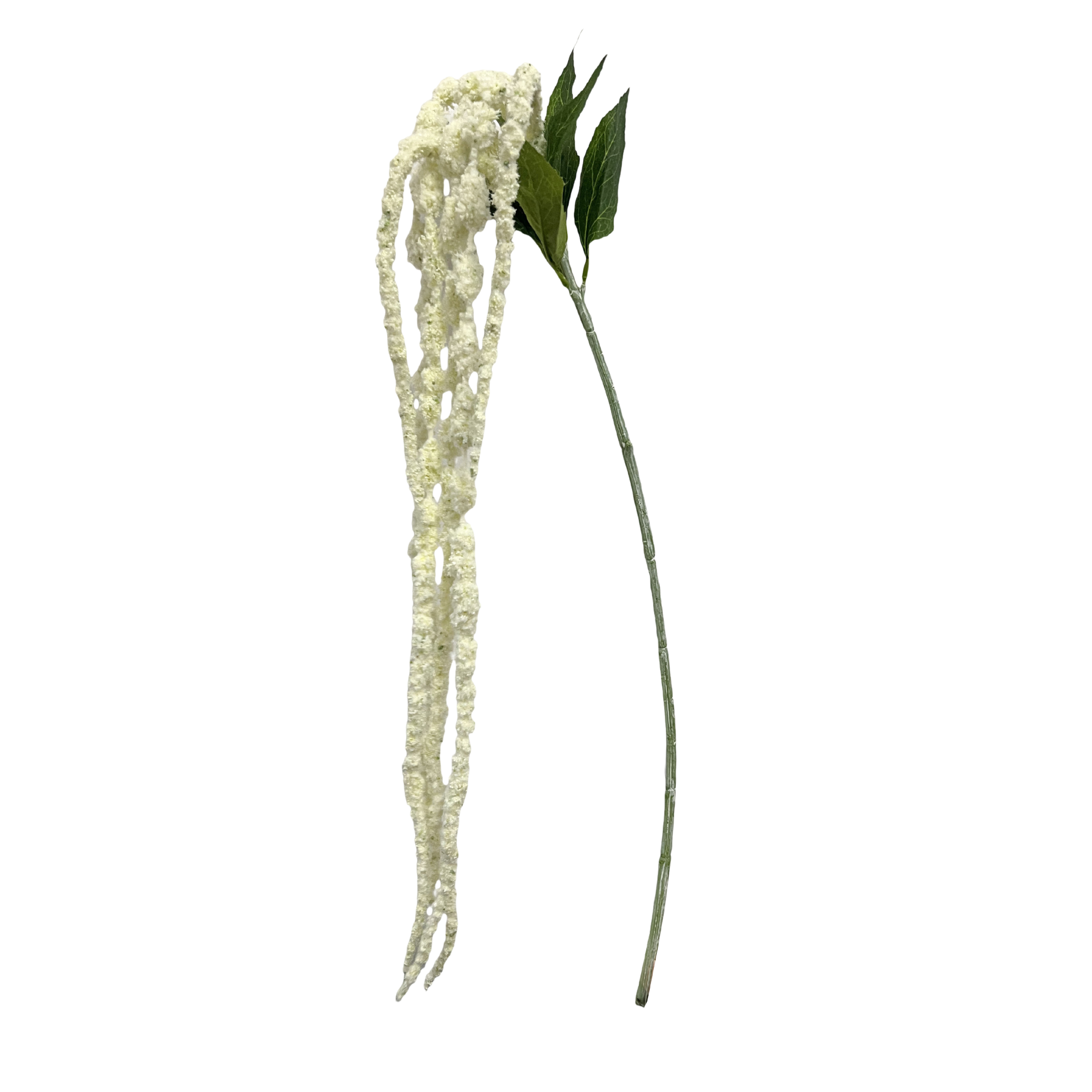 Künstliche Amaranthus