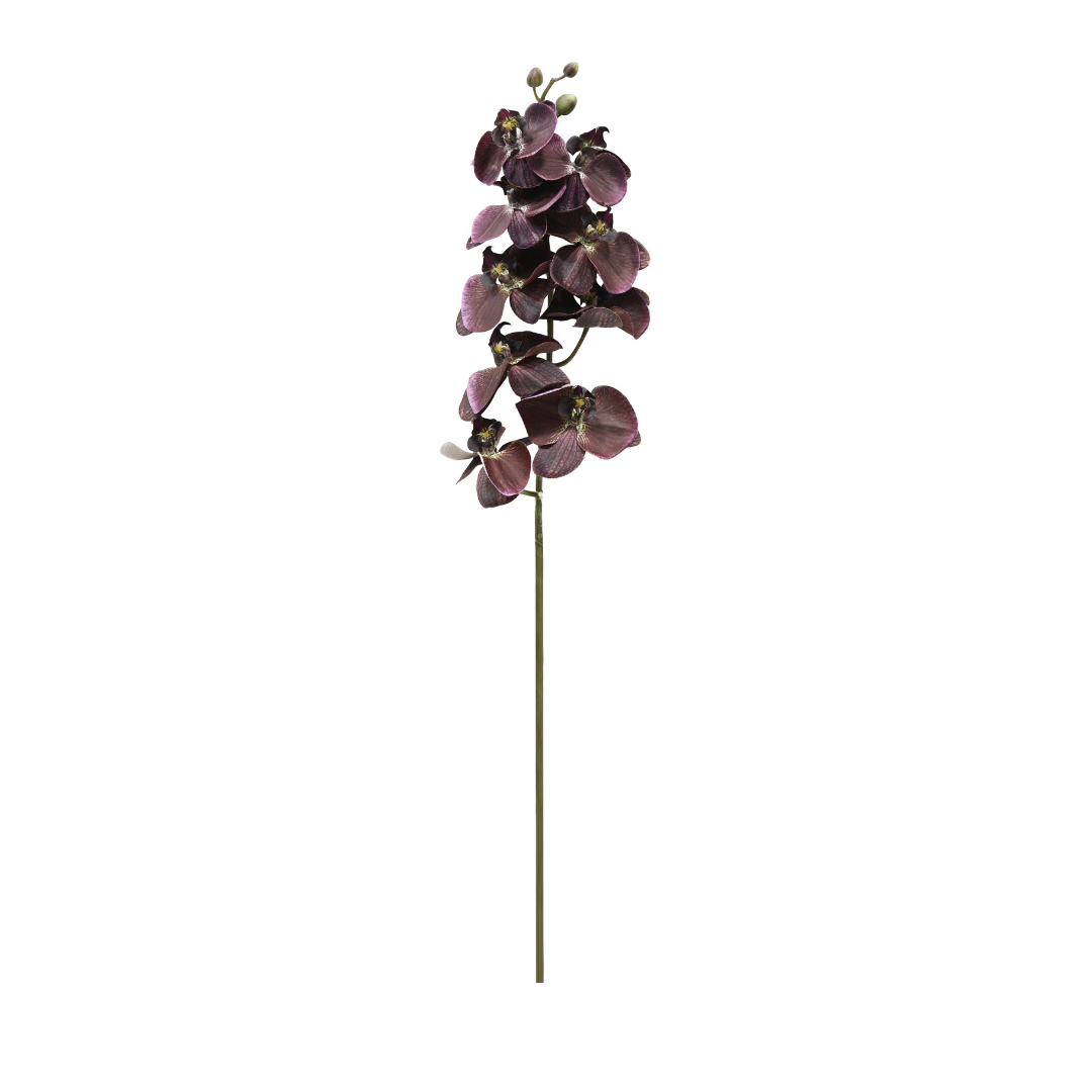 Künstliche Orchidee, Real Touch