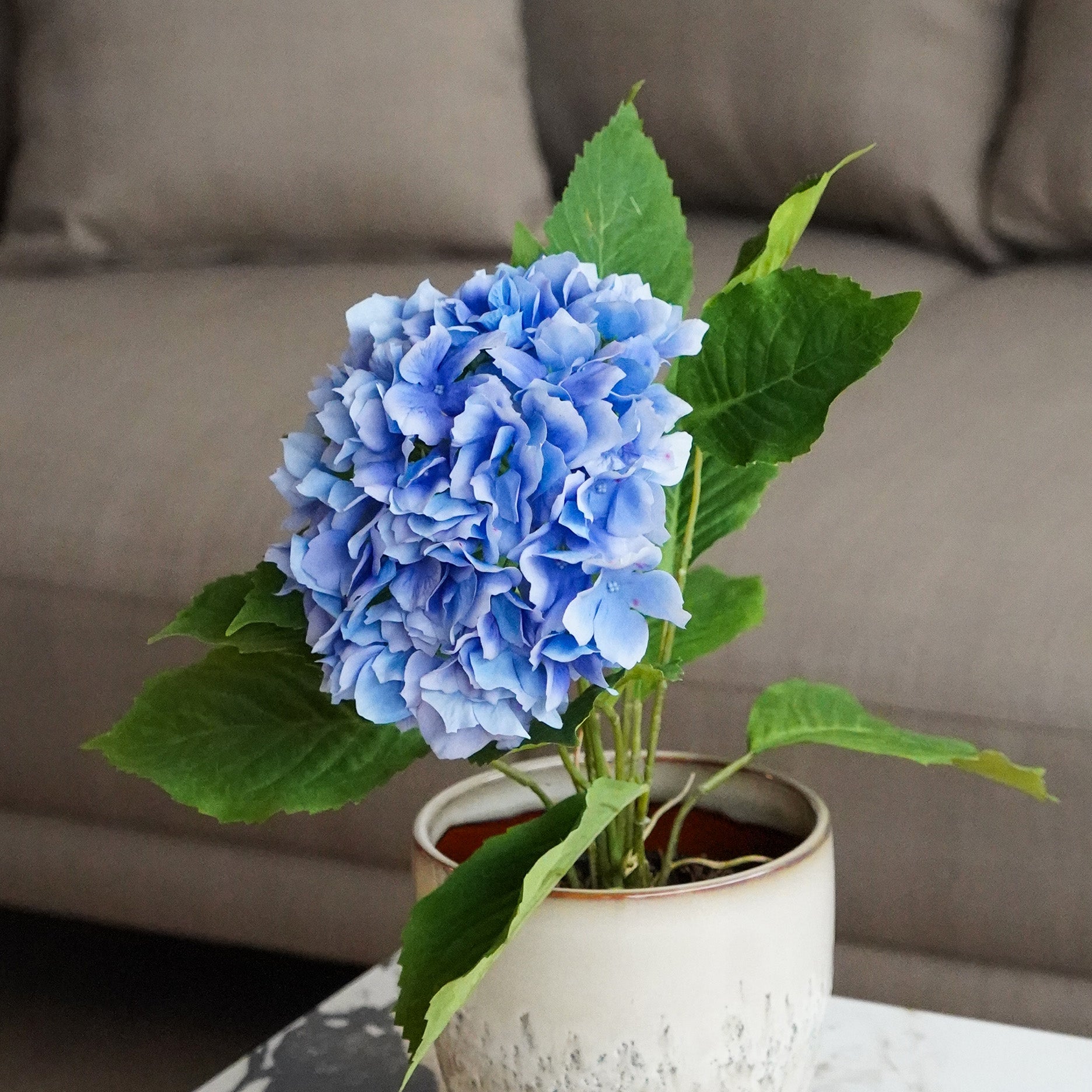 Realtouch hortensia i potte H40