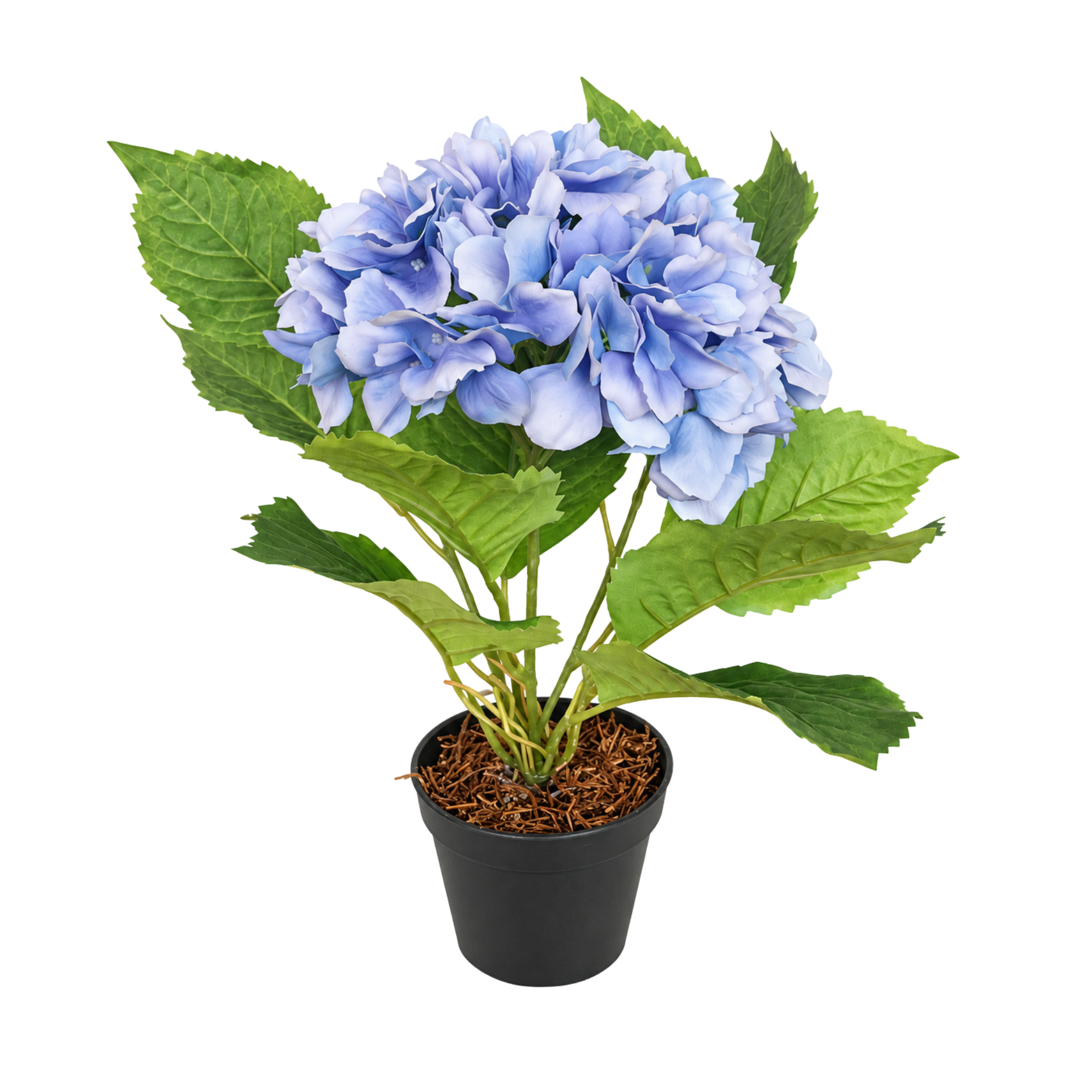 Realtouch hortensia i potte H40