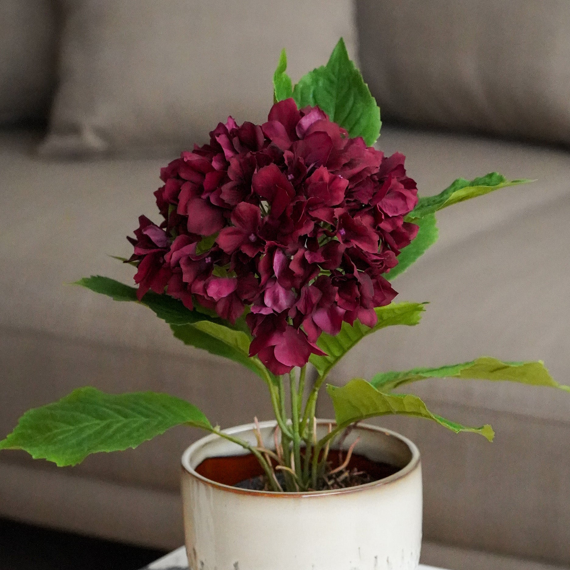 Realtouch hortensia i potte H40