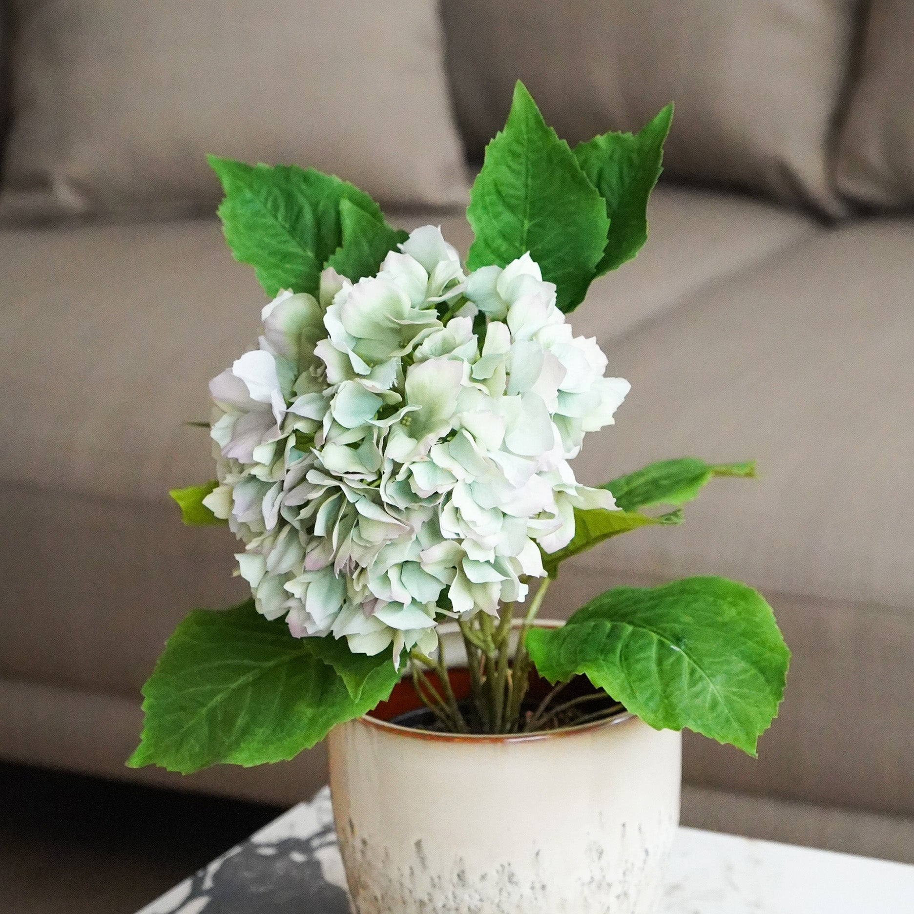 Realtouch hortensia i potte H40