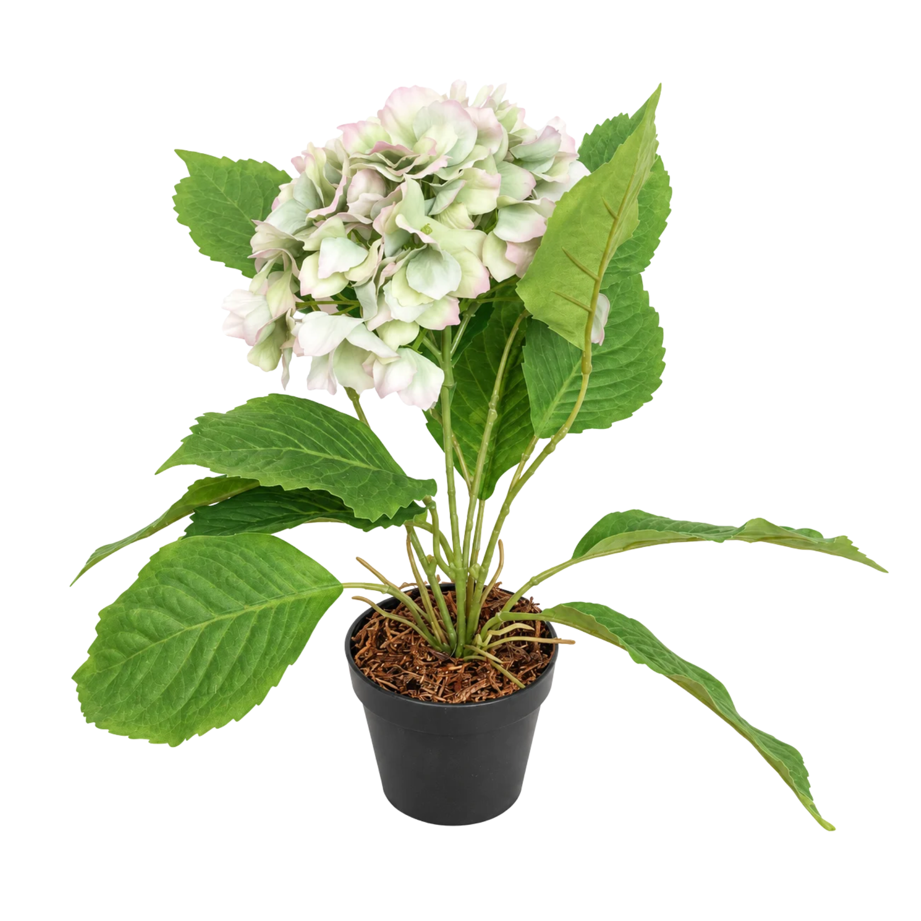 Realtouch hortensia i potte H40