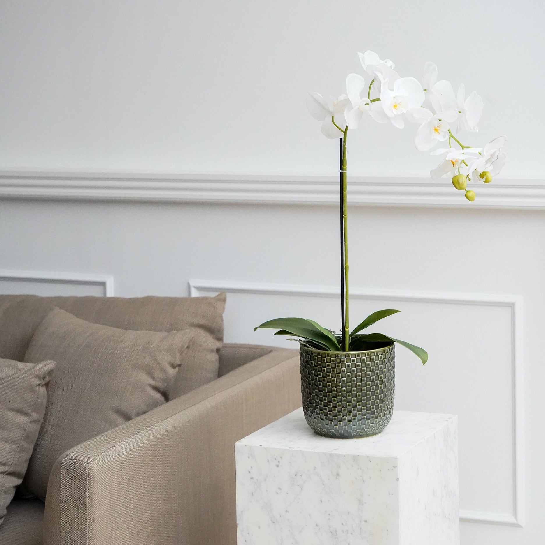 Realtouch Orchidee im Moostopf