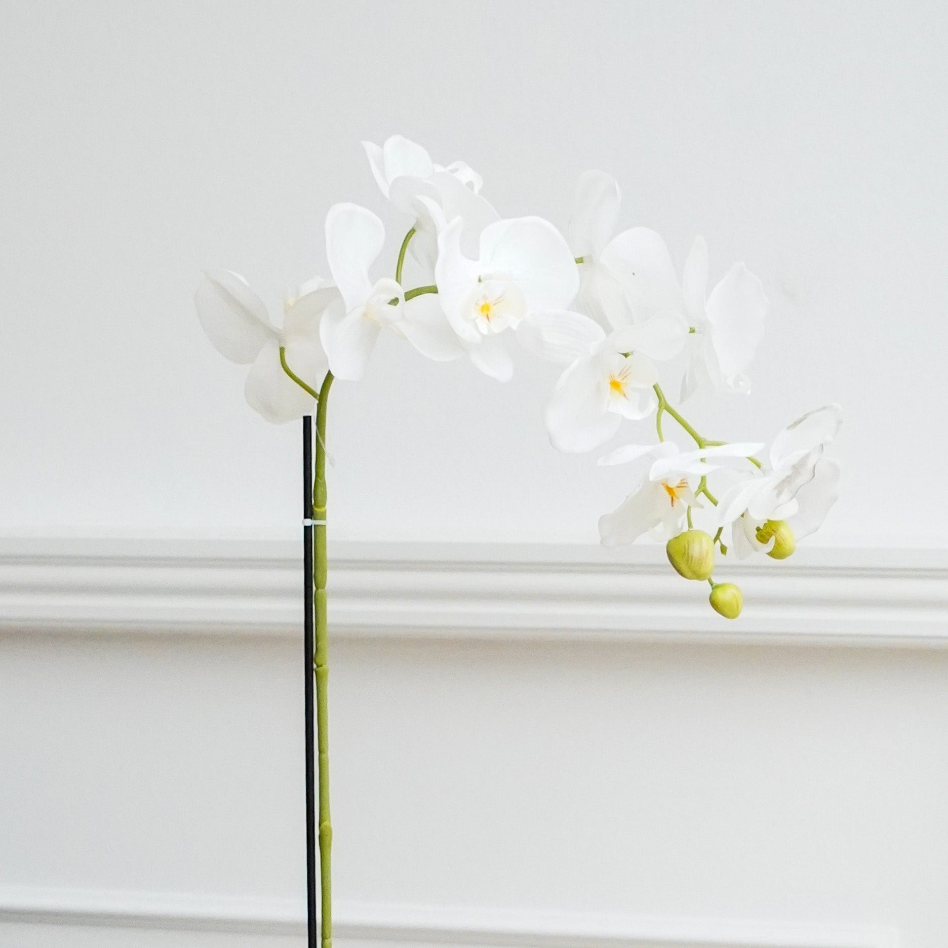 Realtouch Orchidee im Moostopf