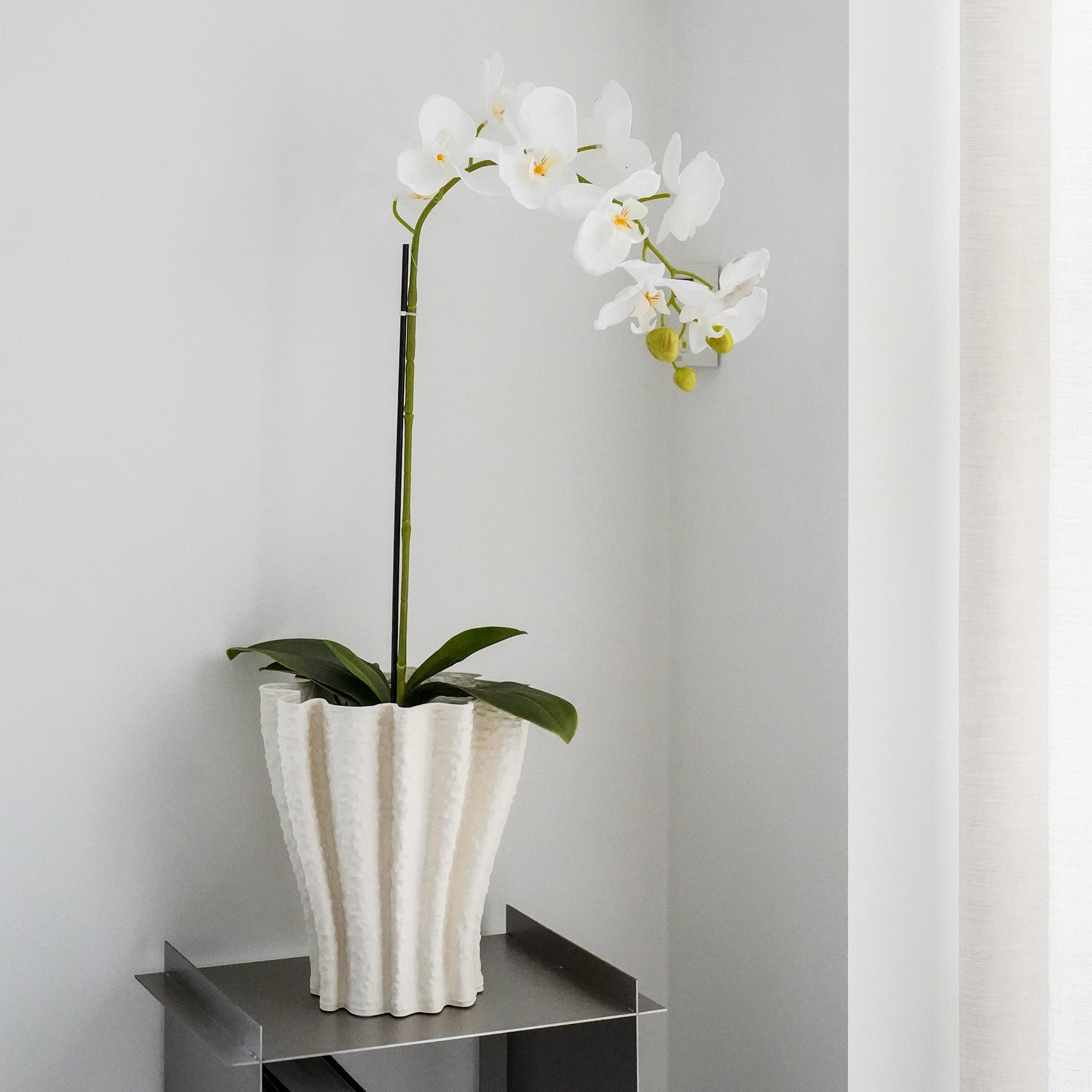 Realtouch Orchidee im Moostopf