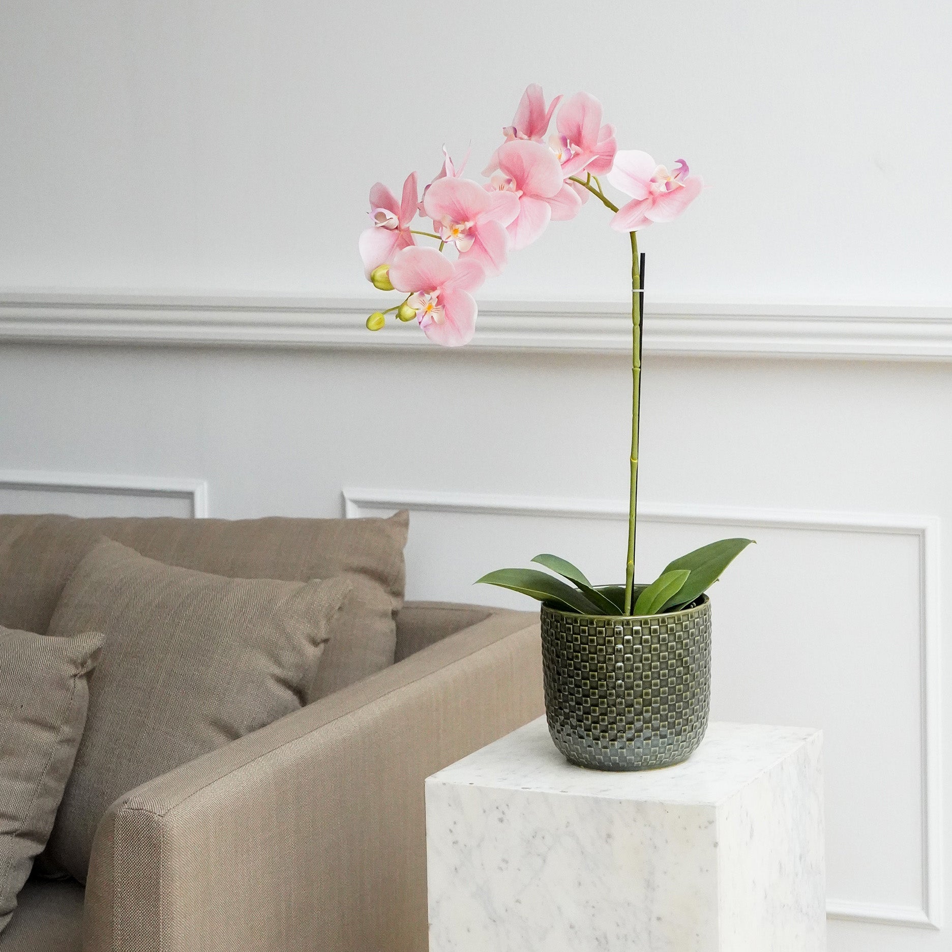 Realtouch Orchidee im Moostopf