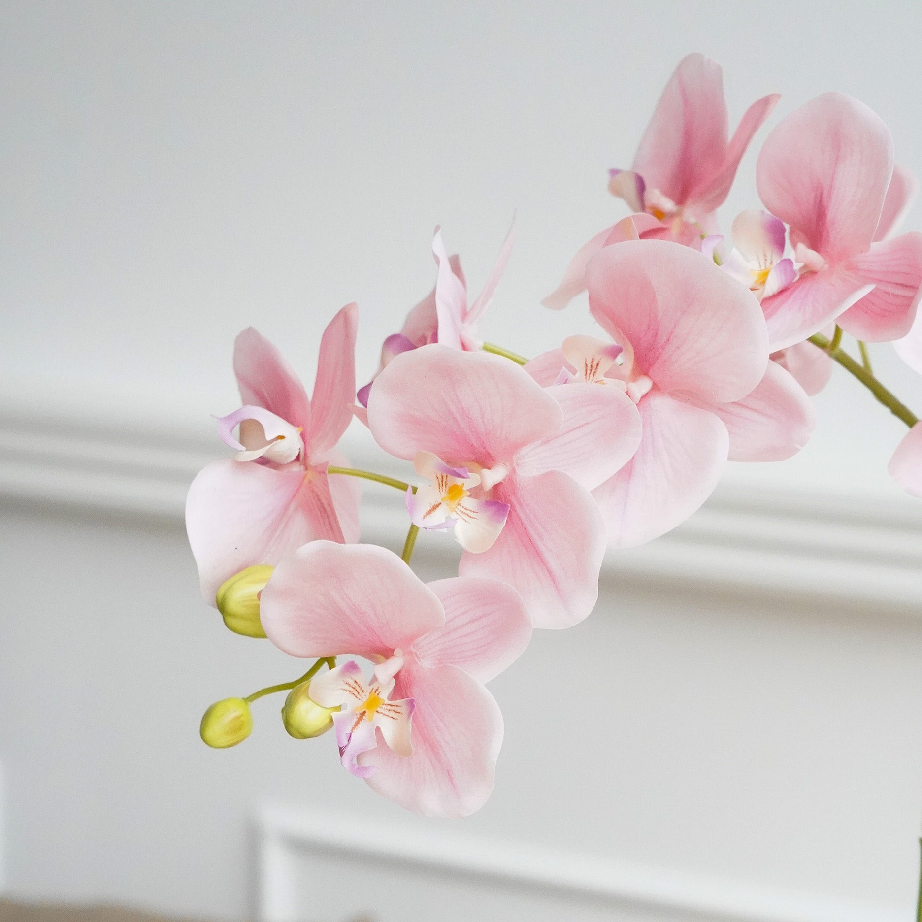 Realtouch Orchidee im Moostopf