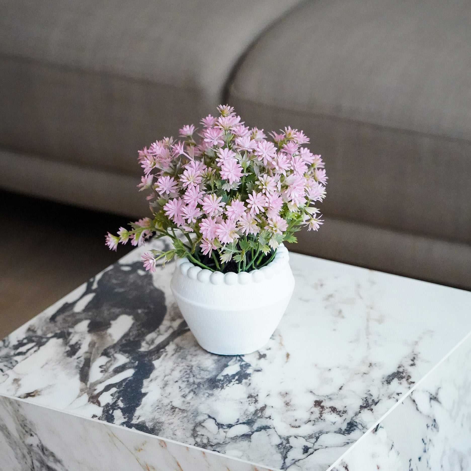Kunstig Bellis perennis i potte