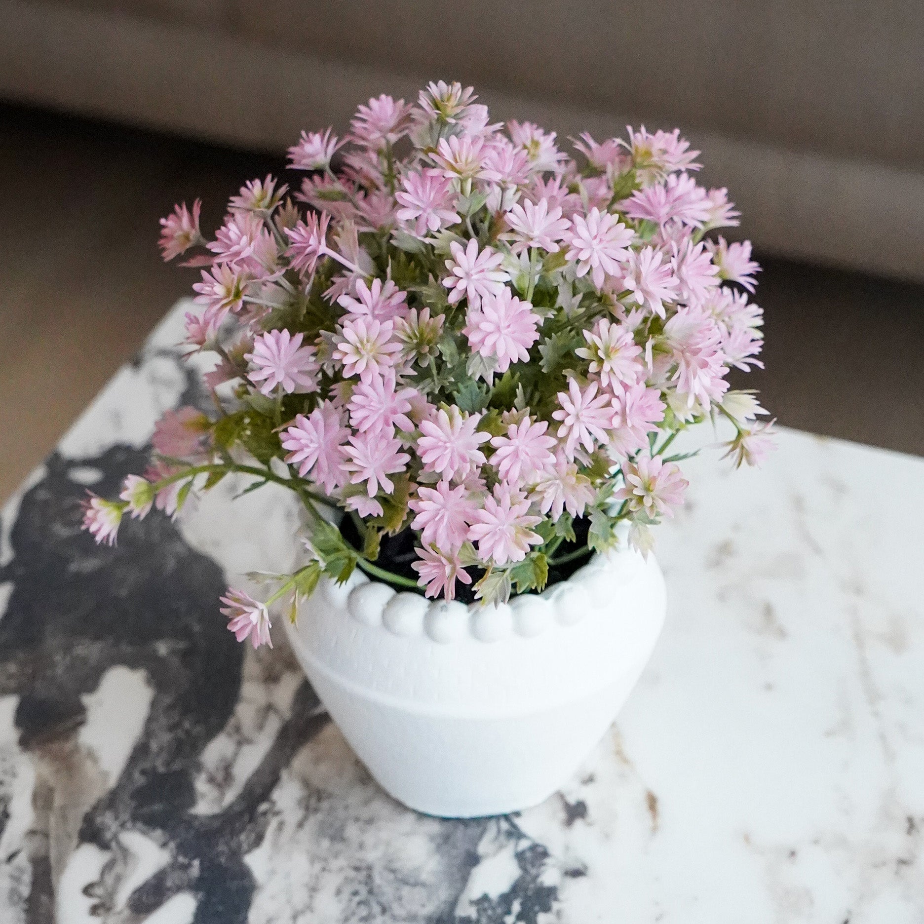 Kunstig Bellis perennis i potte