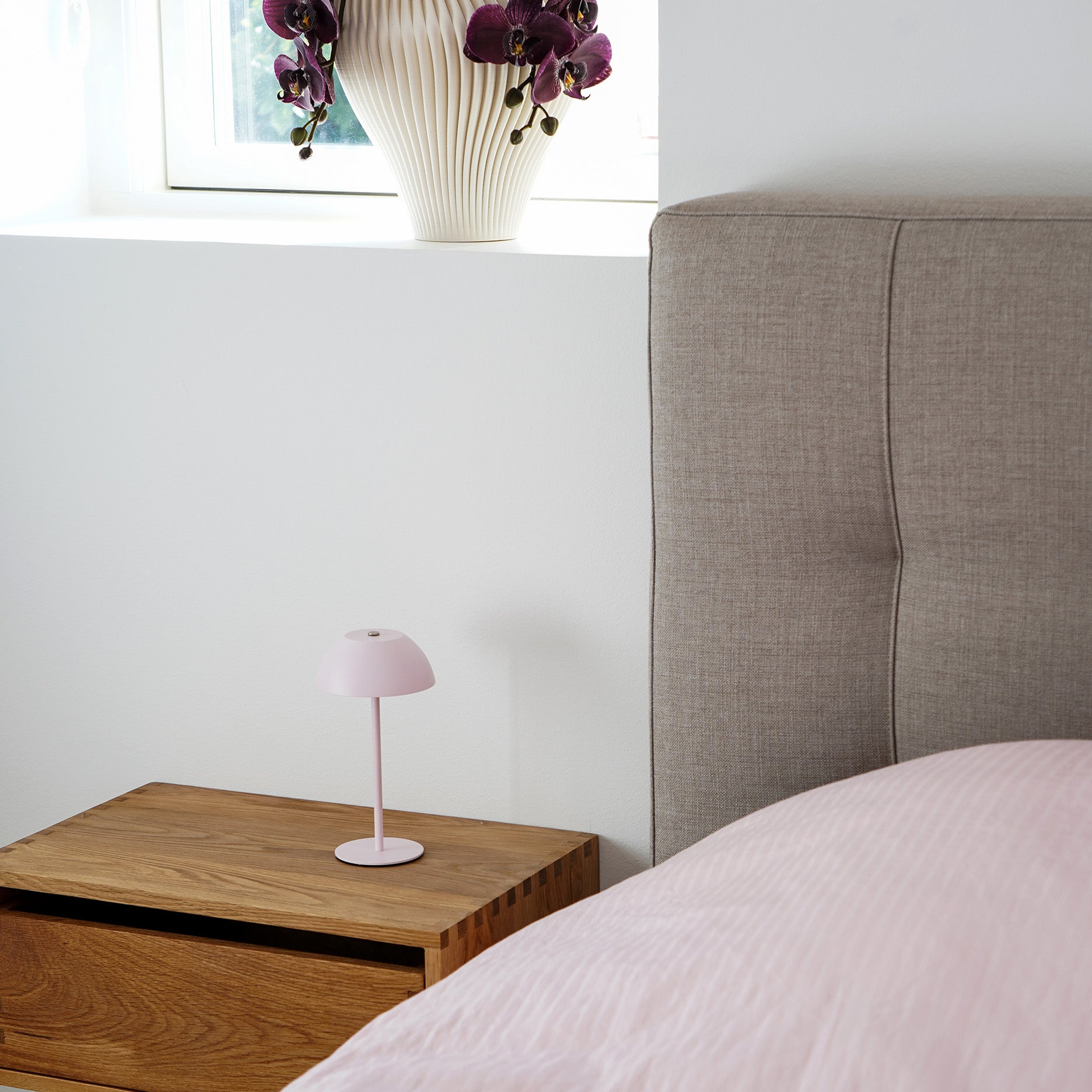 Carino Mini LED-Lampe