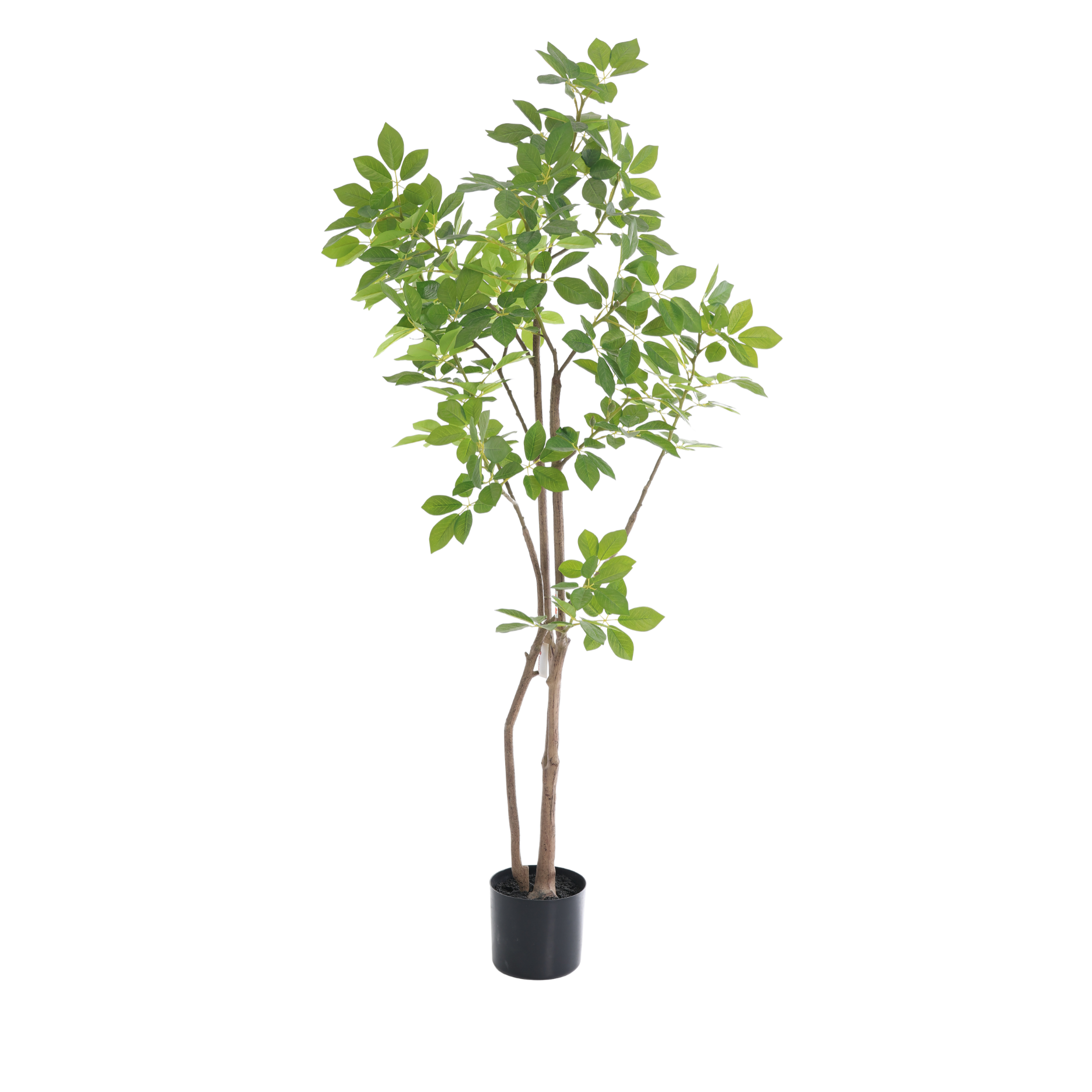 Kunstigt trompettræ - H150 CM