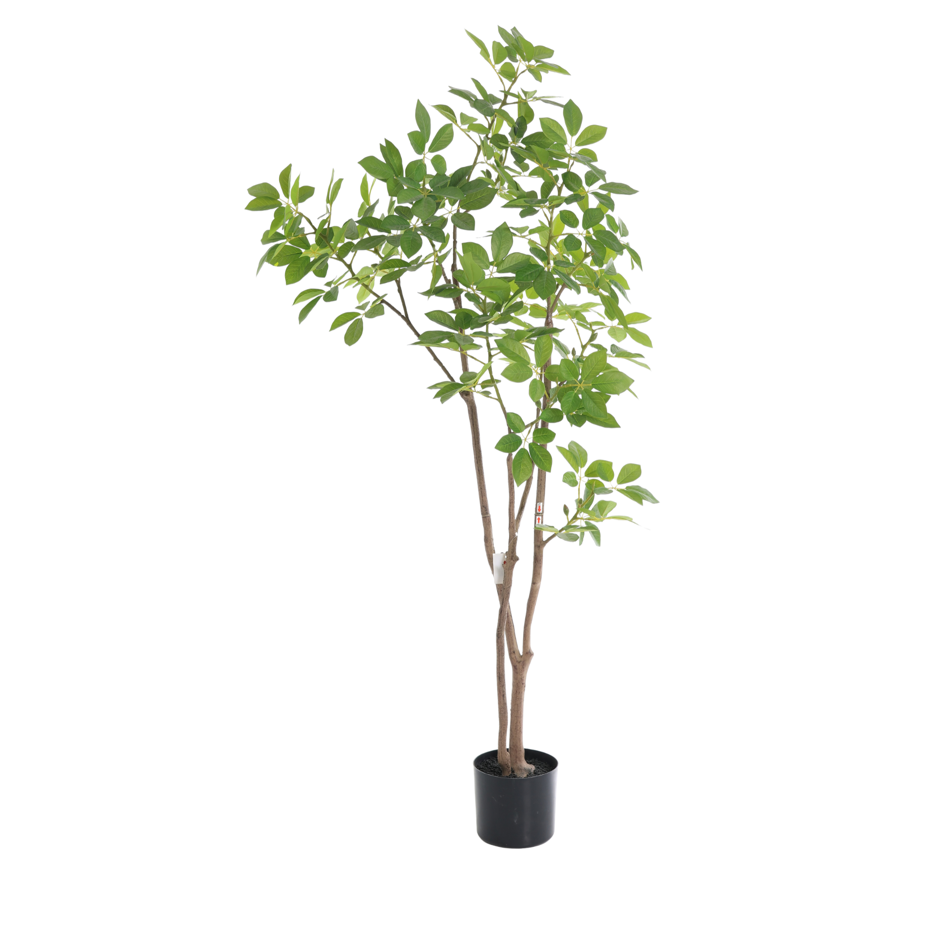 Kunstigt trompettræ - H150 CM