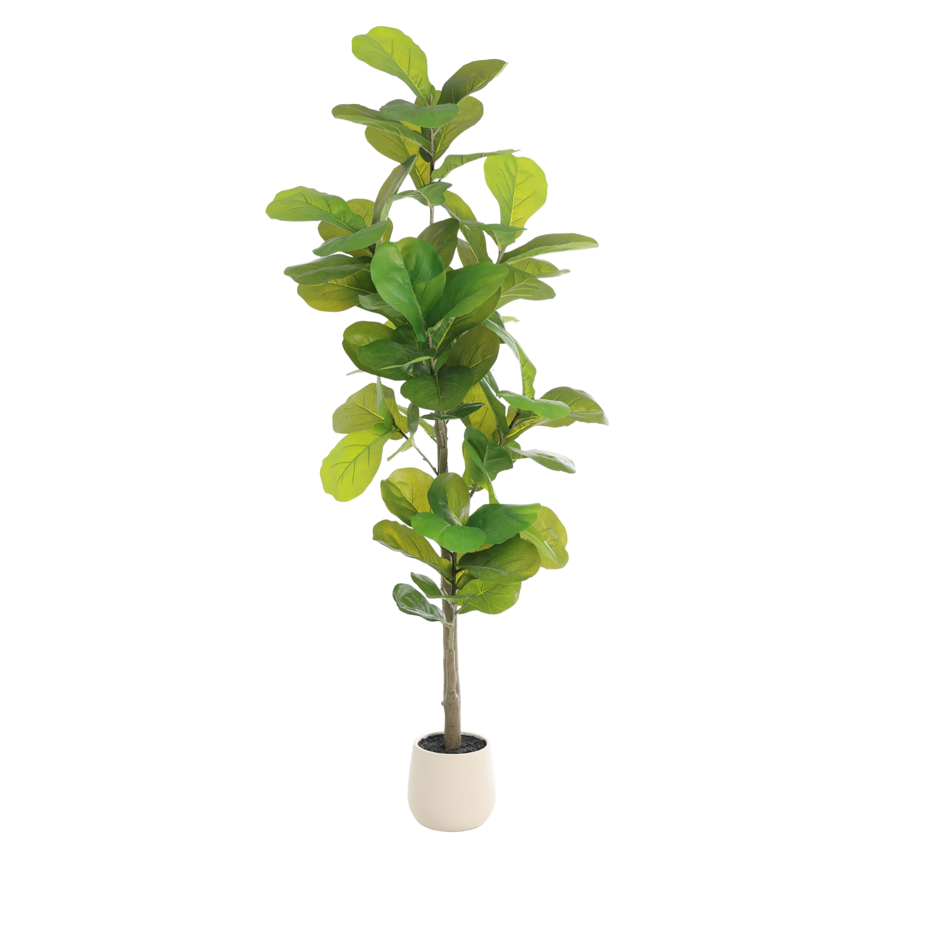 Kunstigt Fiddle figentræ - H180 CM