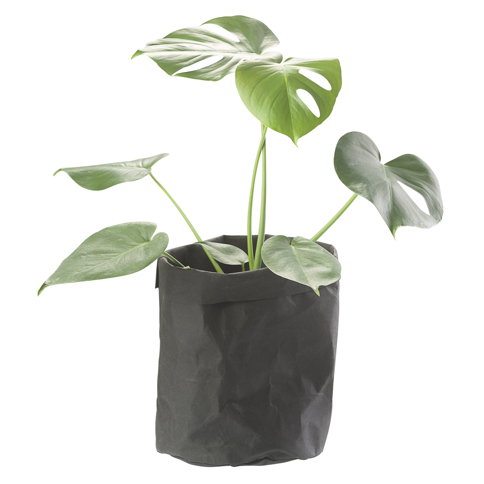 CRÉTON MAISON Pflanzsack