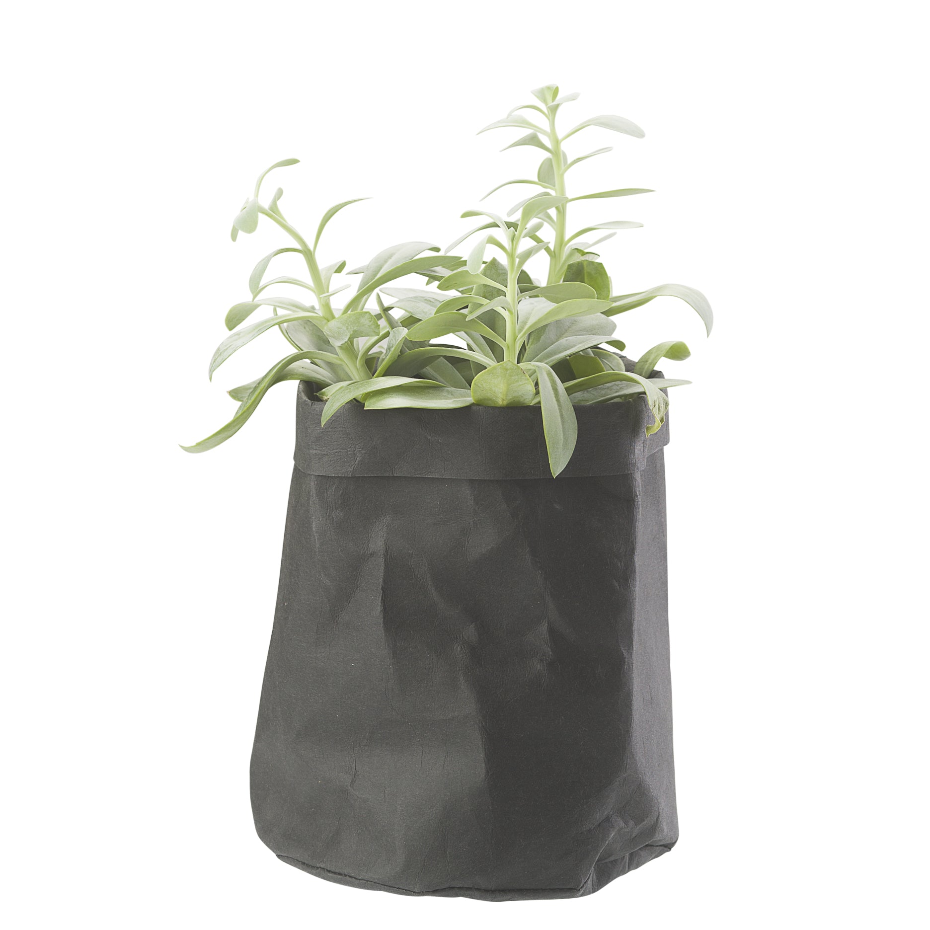 CRÉTON MAISON Pflanzsack