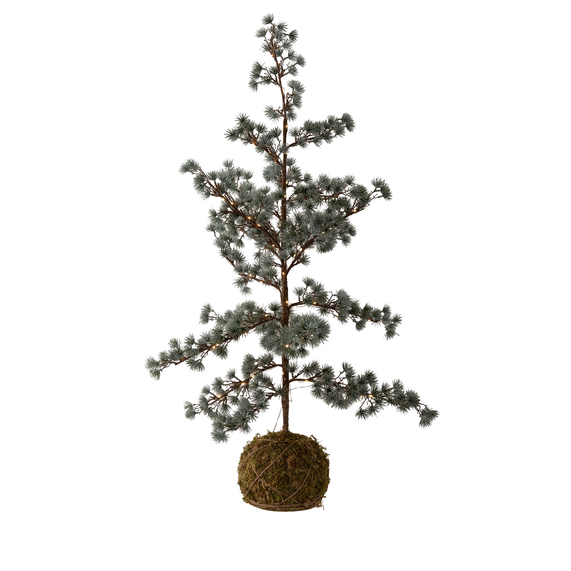 Festive Zedernbaum mit LED
