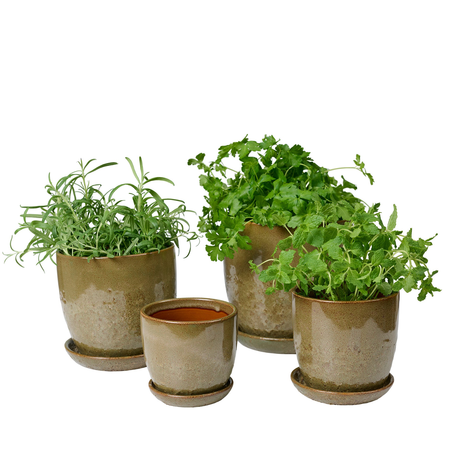 Pio II Blumentopf D14 cm