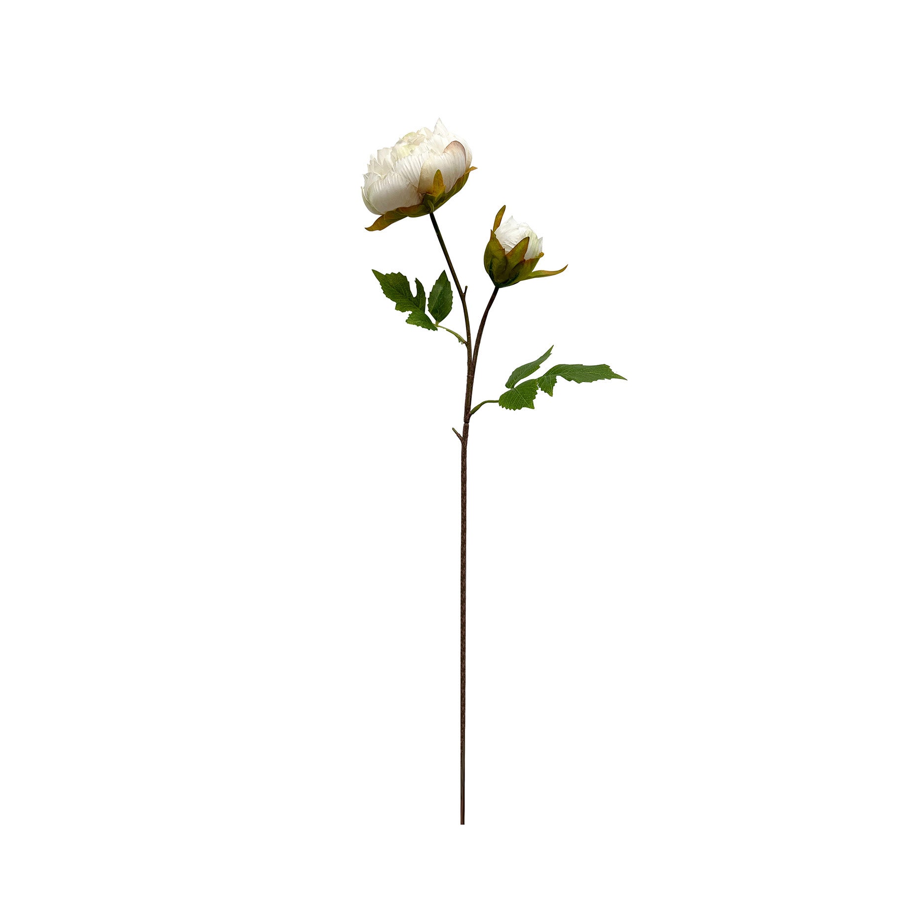 Künstliche Pfingstrose