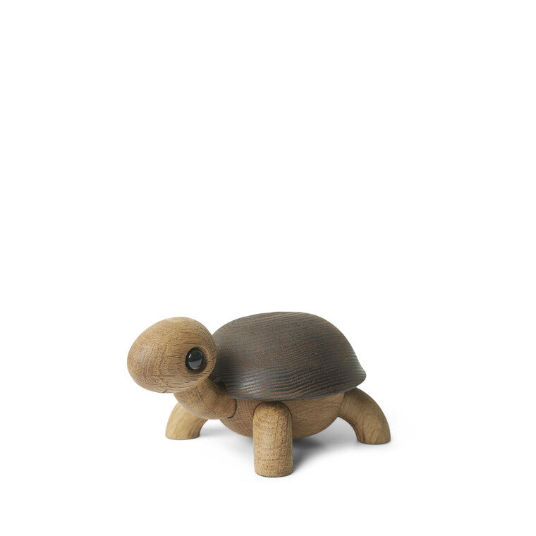 Speedy Schildkrötenbaby