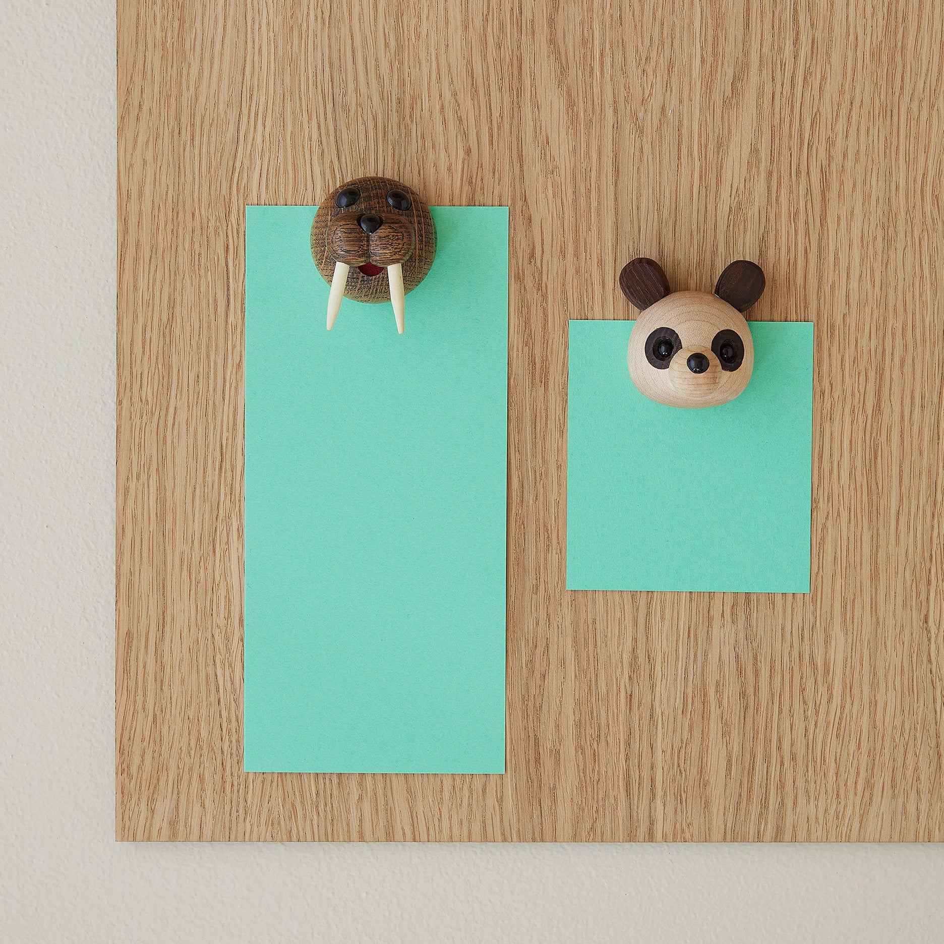 Polly magnet